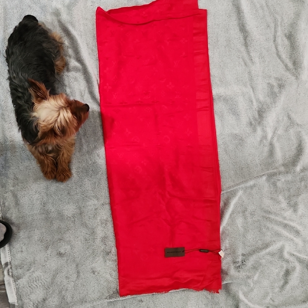 Louis Vuitton Vibrant Red Scarf